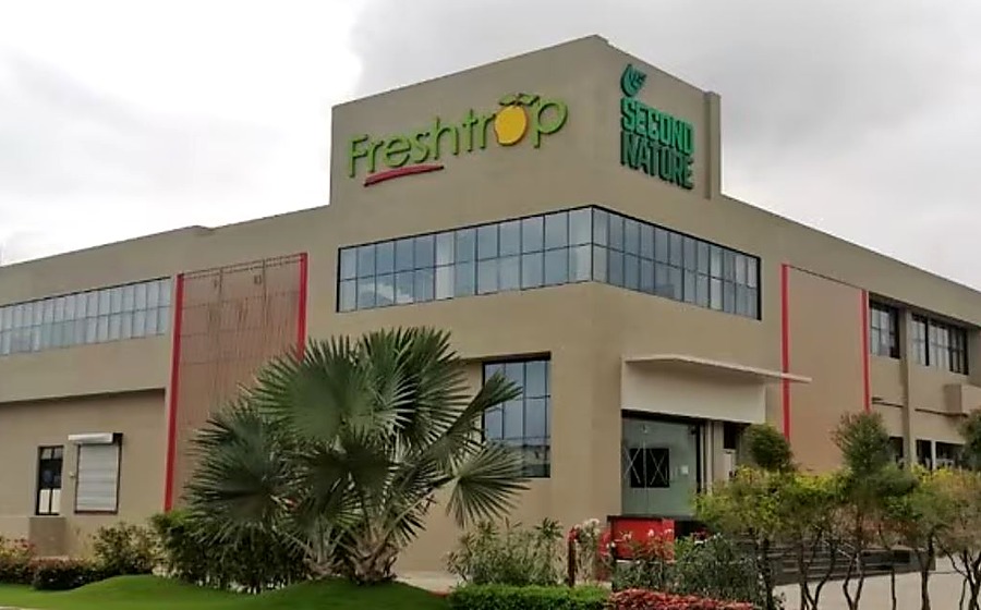 Freshtrop Fruits Ozar — Shreya Painting Works